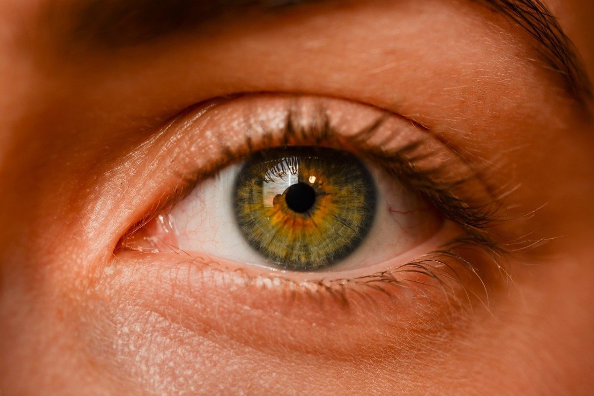 Oczy to ekstrawagancki organ. To otóż to dzięki nim rozróżniamy.